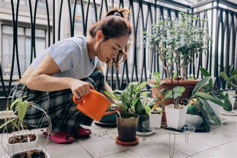 玄關陽台|6個陽台改造範例，讓您的陽台煥然一新